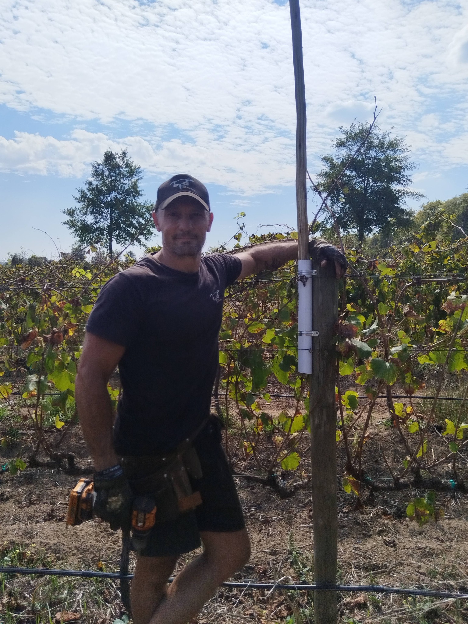 Mike at work in a vineyard